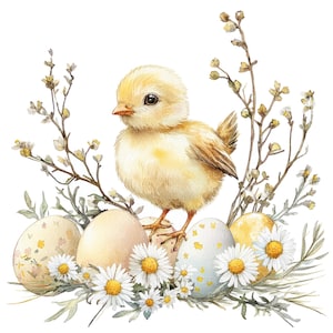 Könnte beinhalten: Aquarellillustration eines flauschigen gelben Küken, das auf dekorierten Ostereiern steht. Die Eier sind von Gänseblümchen und Zweigen umgeben. Das Küken hat einen kleinen orangen Schnabel und dunkle Augen. Das Thema ist Ostern.
