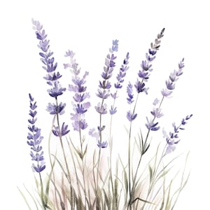12 lavendel clipart l zachte paarse lavendel bloemen rand l JPG digitale download l afdrukbare aquarel clipart l junk Journal l Paper Craft