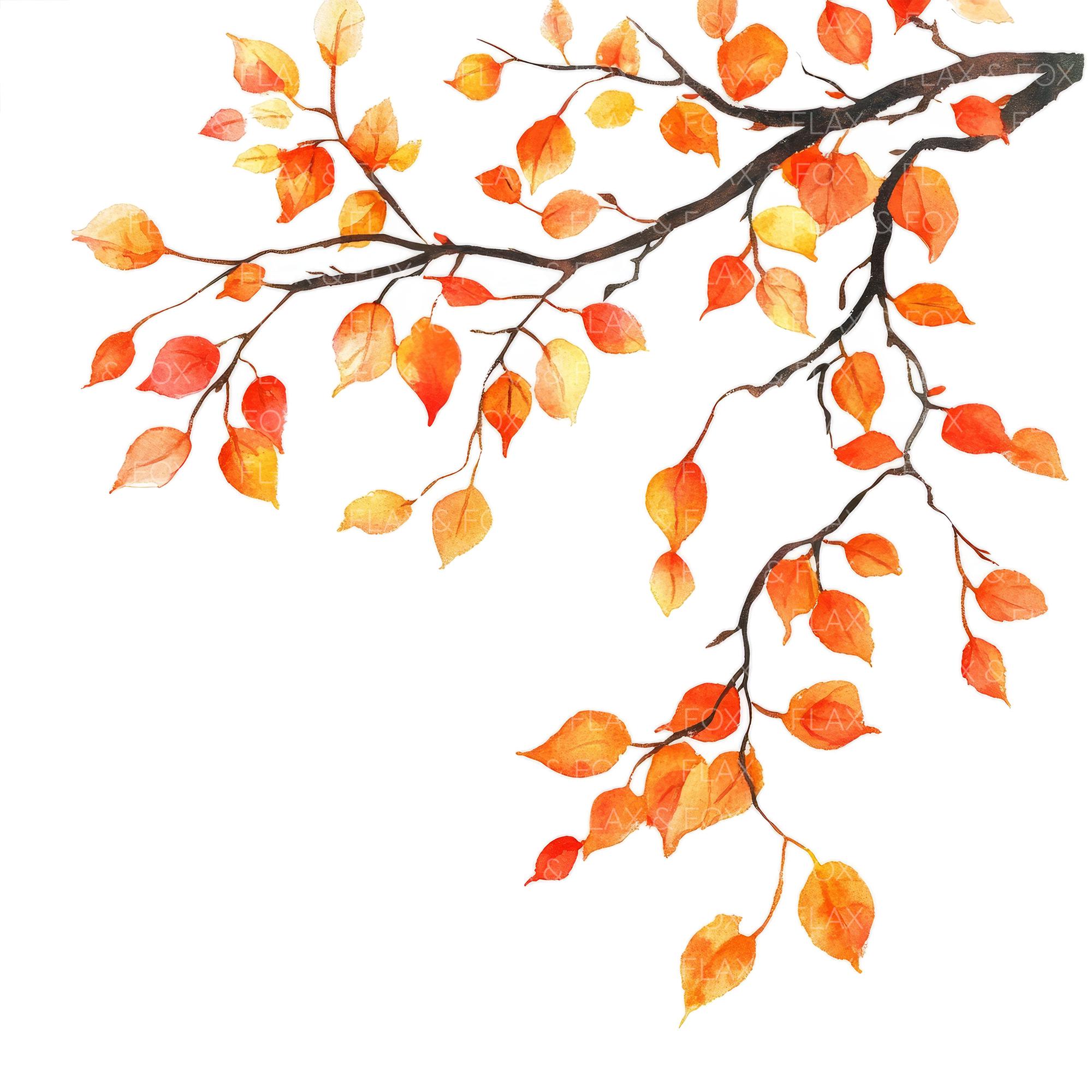 10 Falling Autumn Leaves Clipart L Oak Tree Branch Fall Decor L JPG ...