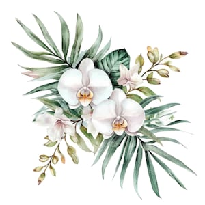 12 tropische orchideeboeket clipart l palmbladeren aquarel bloemen l JPG digitale download l afdrukbare aquarel clipart