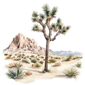 12 Clipart paysage désertique de Joshua Tree l Cactus Nature Landscape l JPG téléchargement numérique l Clipart aquarelle imprimable