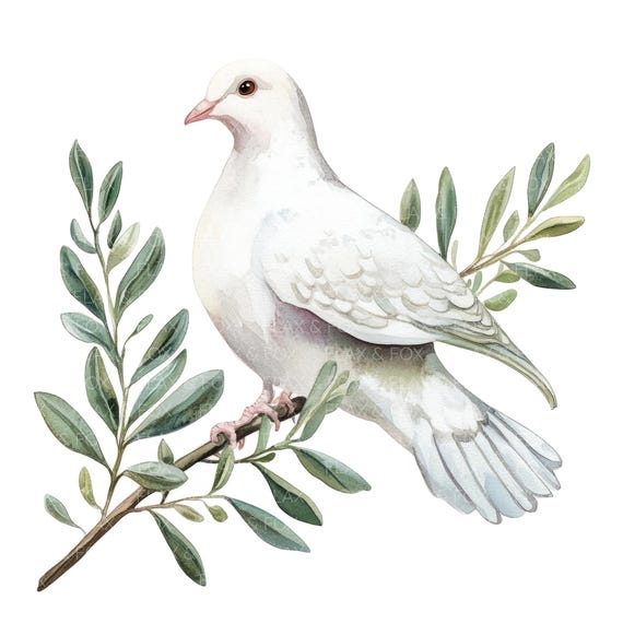 12 白い鳩のオリーブの枝のクリップアート l 平和の鳩 l JPG デジタル