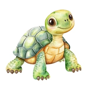 18 Imágenes prediseñadas de tortuga de dibujos animados l Tortuga marina l Descarga digital JPG l Imágenes prediseñadas de acuarela imprimibles l Diario basura l Manualidades de papel