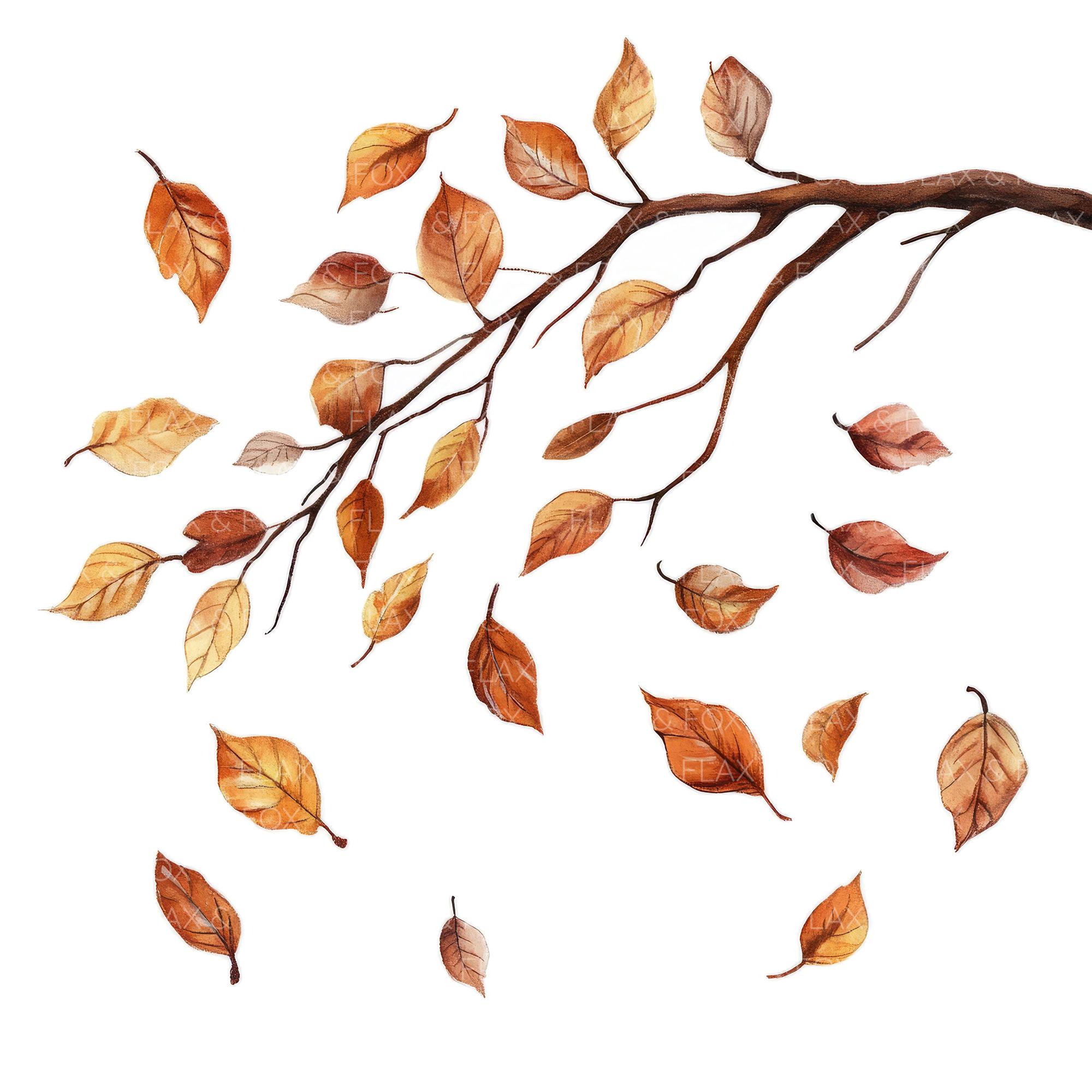 10 Falling Autumn Leaves Clipart L Oak Tree Branch Fall Decor L JPG ...