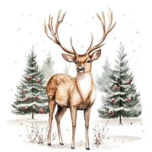 12 Christmas Deer Clipart l Reindeer Elk l JPG Digital Download l Printable Watercolor Clipart l Junk Journal l Paper Craft