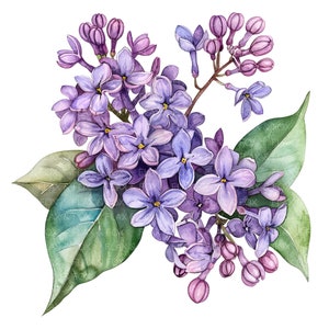 10 Lilac Clipart l Purple Flowers l JPG Digital Download l Printable Watercolor Clipart l Junk Journal l Paper Craft