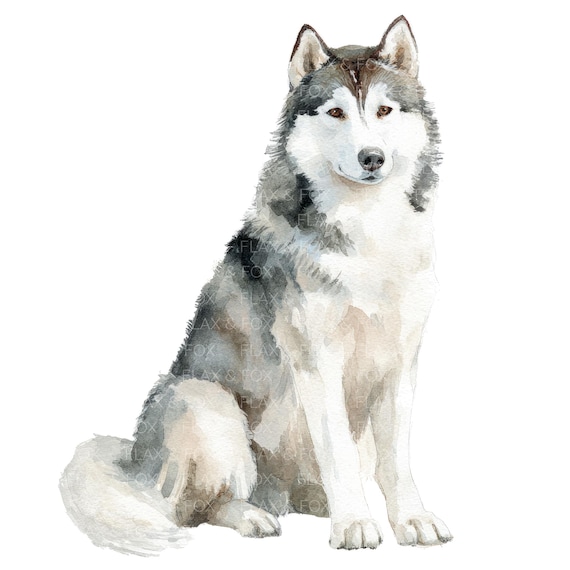 22 ハスキー犬のクリップアート l ペットの犬 l JPGデジタル