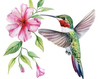 12 Hummingbird Clipart l Tropical Colibri Bird And Flower l JPG Digital Download l Printable Watercolor Clipart l Junk Journal l Paper Craft