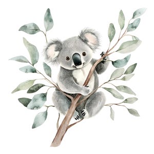15 Koala em galho de árvore Clipart l Koala em eucalipto l Download digital JPG l Clipart de aquarela para impressão l Diário de lixo l Artesanato em papel