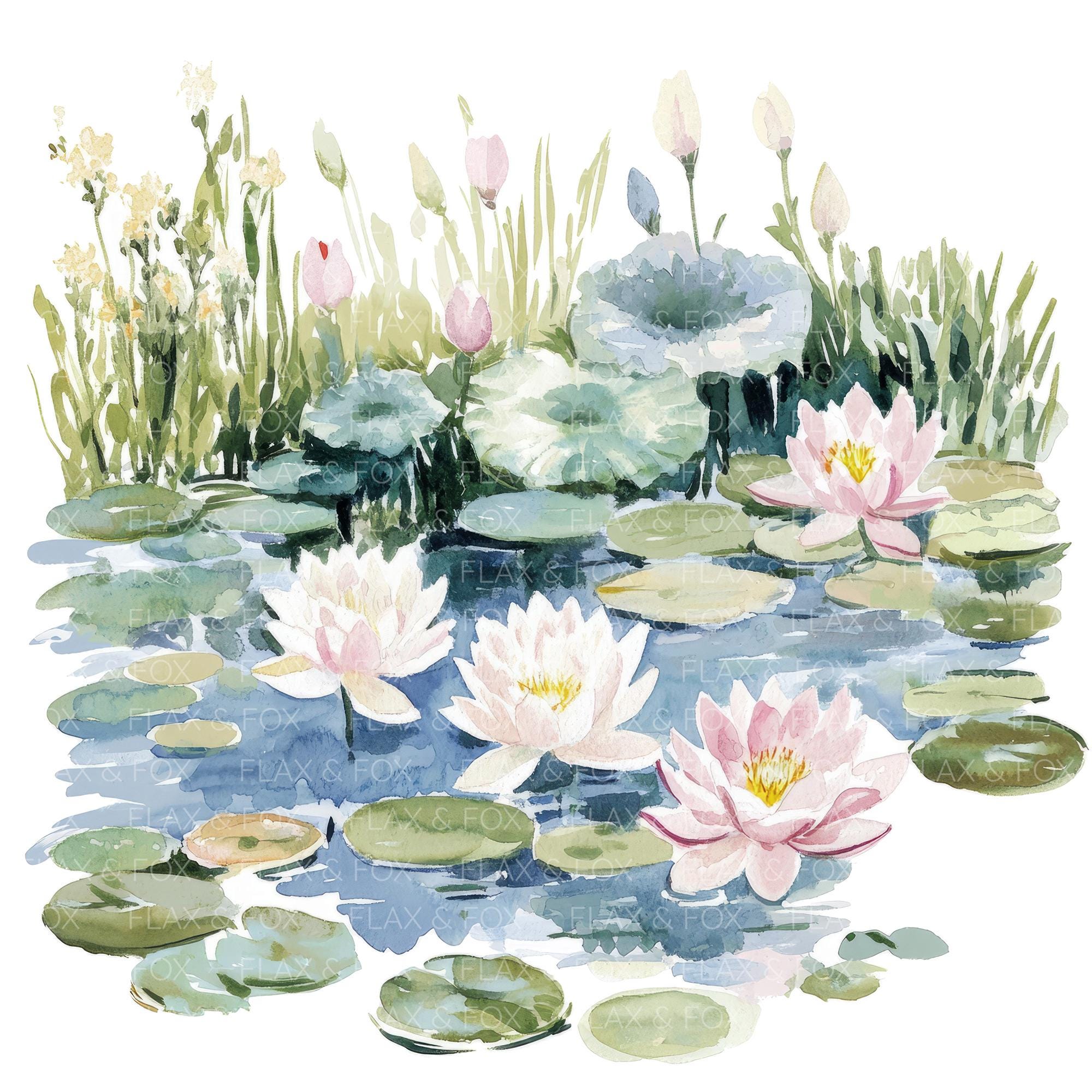 12 モネの庭のクリップアート l 池の花 l JPG デジタルダウンロード l