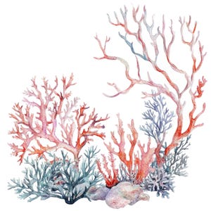 10 imágenes prediseñadas de arrecifes de coral l Algas submarinas l Descarga digital JPG l Imágenes prediseñadas de acuarela imprimibles