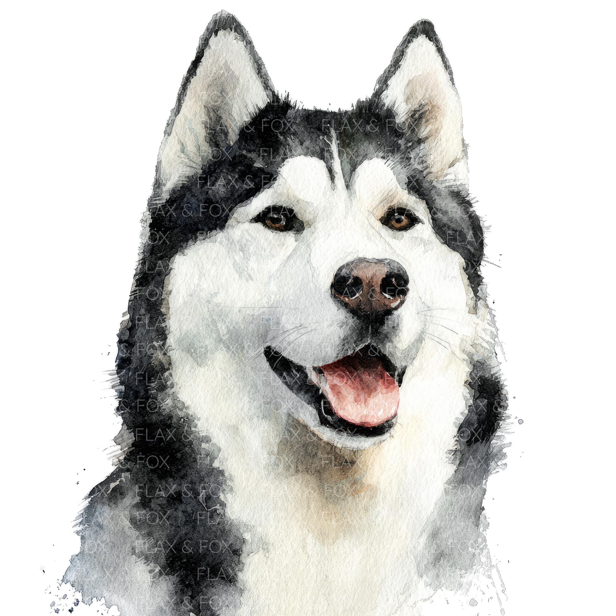 22 ハスキー犬のクリップアート l ペットの犬 l JPGデジタル
