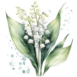 15 Clipart muguet l Fleurs blanches l Téléchargement numérique JPG l Clipart aquarelle imprimable l Journal indésirable l Créations en papier