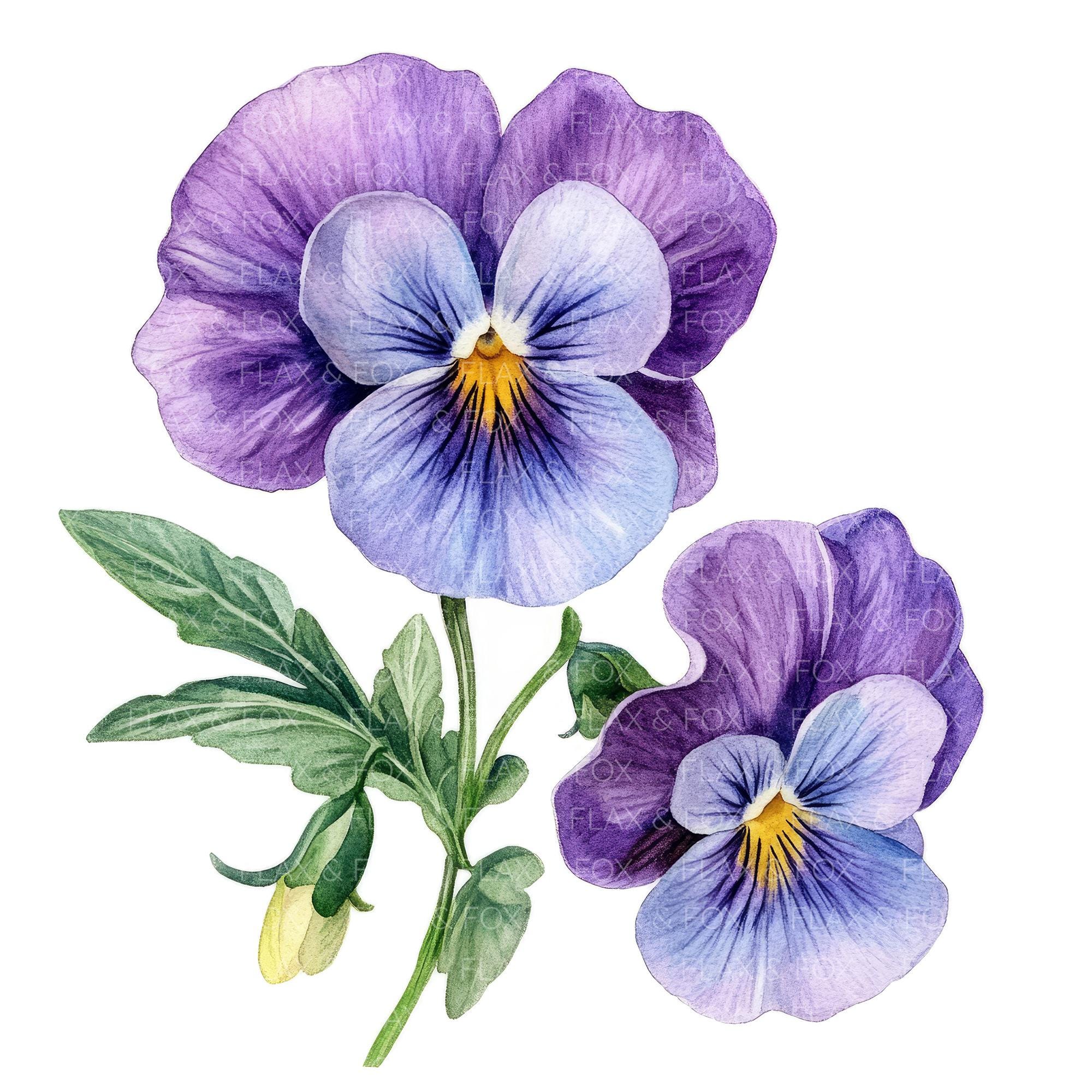 20 Pansy Flower Clipart L Purple Flowers L JPG Digital Download L ...