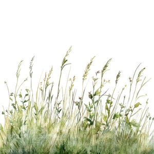 16 grasland clipart l grasrand l JPG digitale download l afdrukbare aquarel clipart l junk Journal l Paper Craft