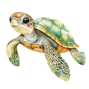 12 schildpad clipart l Zeeschildpad l JPG digitale download l Afdrukbare aquarel clipart l Junk Journal l Paper Craft