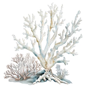 10 witte koraal clipart l onderwater zeewier l JPG digitale download l afdrukbare aquarel clipart