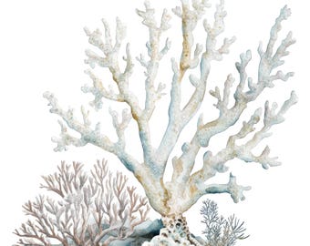 10 White Coral Clipart l Underwater Seaweed l JPG Digital Download l Printable Watercolor Clipart