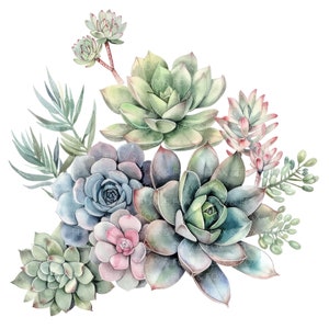 10 Clipart succulente l Pianta botanica di cactus l Download digitale JPG l Clipart acquerello stampabile l Diario spazzatura l Artigianato di carta