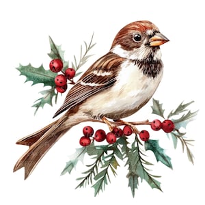 10 mus op groenblijvende tak Clipart l Xmas Card Decor l JPG digitale download l Afdrukbare aquarel clipart l Junk Journal l Paper Craft