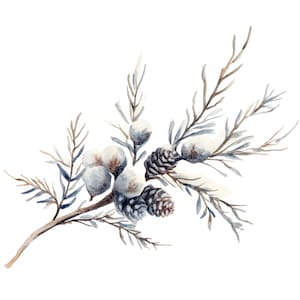 12 clipart branche hiver l Décoration de Noël à feuilles persistantes l Téléchargement numérique JPG l Clipart aquarelle imprimable l Journal indésirable l Créations en papier