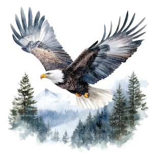 14 adelaar clipart l vogel l jpg digitale download l afdrukbare aquarel clipart l junk Journal l papier ambachtelijke