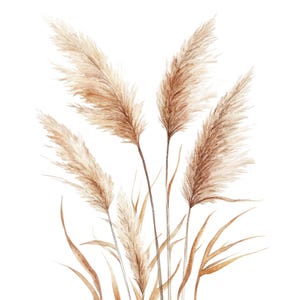 10 pampasgras Clipart l Botanisch Beige l JPG digitale download l Afdrukbare aquarel Clipart l Junk Journal l Paper Craft