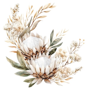 10 weiße Protea Bouquet Clipart l Aquarell König Protea Blume l JPG Digital Download l Druckbare Aquarell Clipart