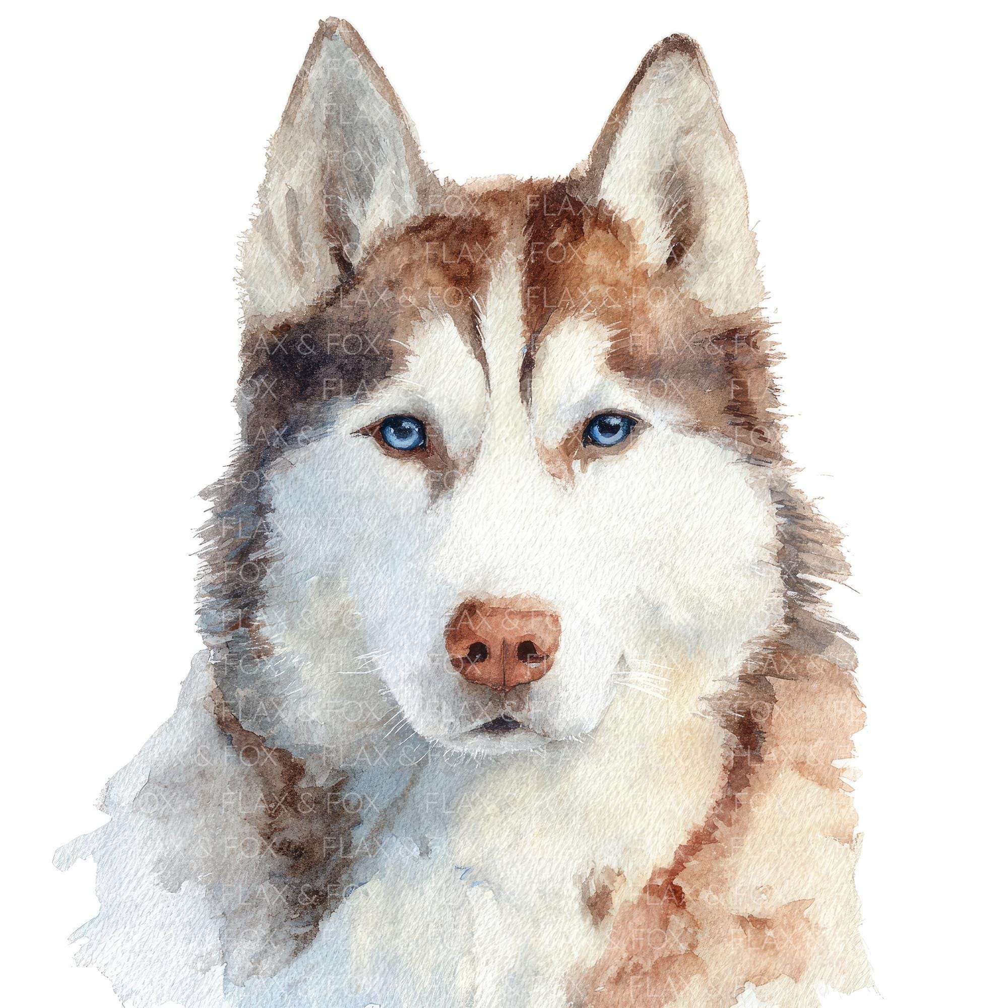 22 ハスキー犬のクリップアート l ペットの犬 l JPGデジタル