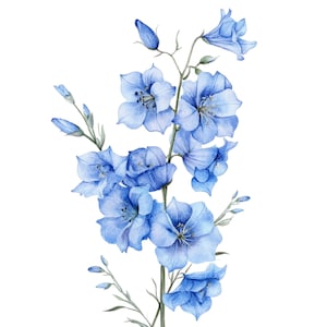 12 Clipart Delphinium l Fleurs bleues l Téléchargement numérique JPG l Clipart aquarelle imprimable l Journal indésirable l Créations en papier