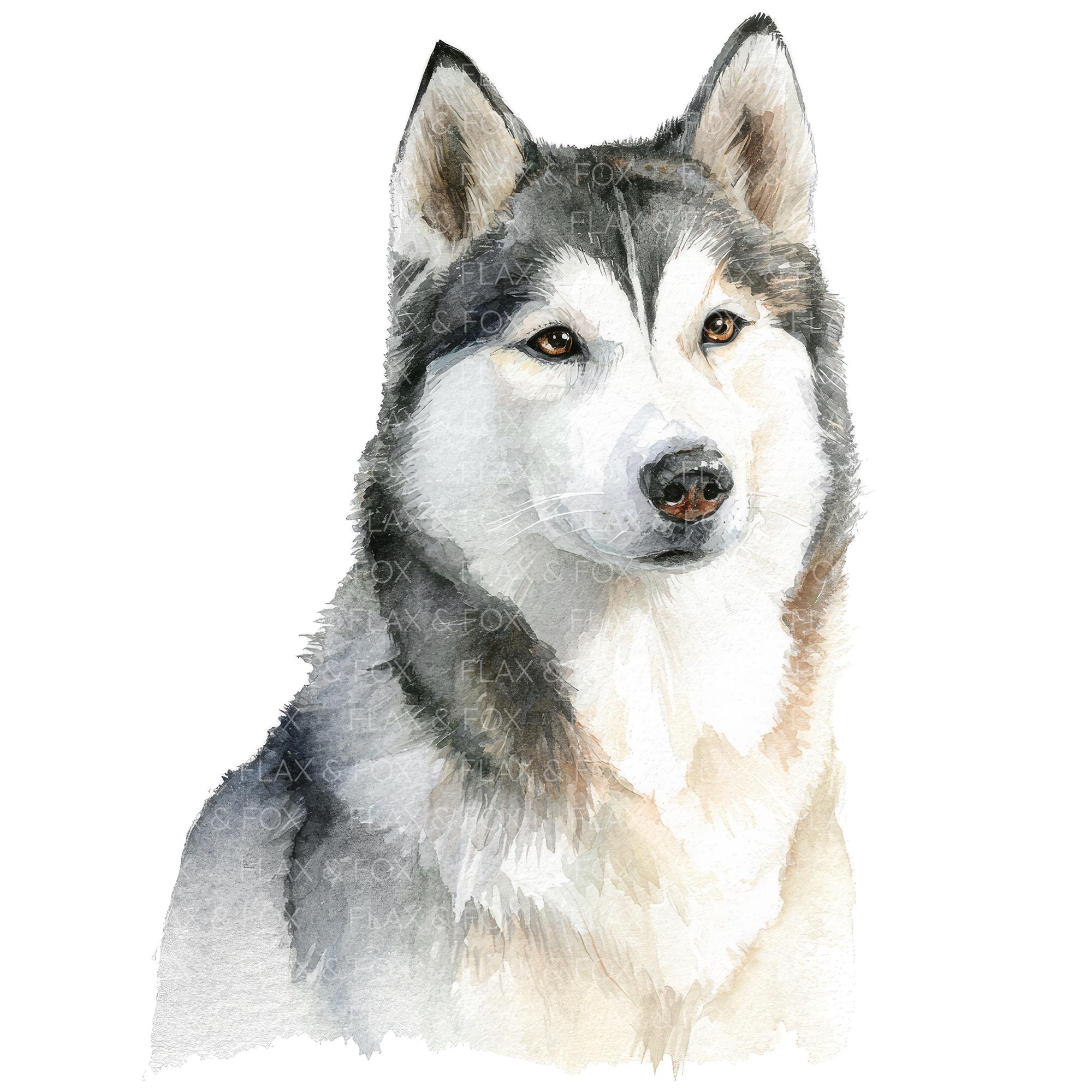 22 ハスキー犬のクリップアート l ペットの犬 l JPGデジタル