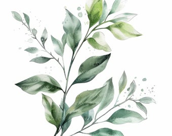Puede incluir: Pintura acuarela de una rama verde con hojas y motas blancas sobre un fondo blanco.
