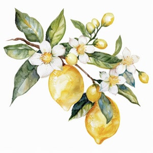 10 citroen clipart l fruit bloemen bladeren l JPG digitale download l afdrukbare aquarel clipart l junk Journal l Paper Craft