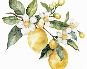 10 Lemon Clipart l Fruits Flowers Leaves l JPG Digital Download l Printable Watercolor Clipart l Junk Journal l Paper Craft