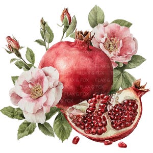 May include: A watercolour illustration featuring a ripe pomegranate and pink roses. The pomegranate is a deep red, with a section cut open to show the seeds. The roses are a soft pink, and the leaves are green.