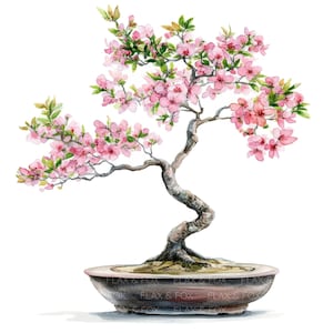 15 Clipart med blommande bonsaiträd l Mini-japanträd med blommor l Digital nedladdning av JPG l Utskrivbar akvarell clipart l Skräpjournal l Papperspyssel