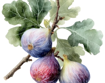 14 Fig Branch Clipart l Fruits Leaves l JPG Digital Download l Printable Watercolor Clipart l Junk Journal l Paper Craft