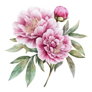 26 roze pioenrozen clipart l Peony bloemen l JPG digitale download l Afdrukbare aquarel clipart l Junk Journal l Paper Craft