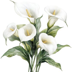 19 Clipes de Flores de Lírios-de-Calla l Flores Brancas l Download Digital em JPG l Clipart de Aquarela para Imprimir l Diário de Junk l Artesanato em Papel