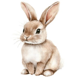 14 schattige konijntjes clipart l Little Bunny l JPG digitale download l Afdrukbare aquarel clipart l Junk Journal l Paper Craft