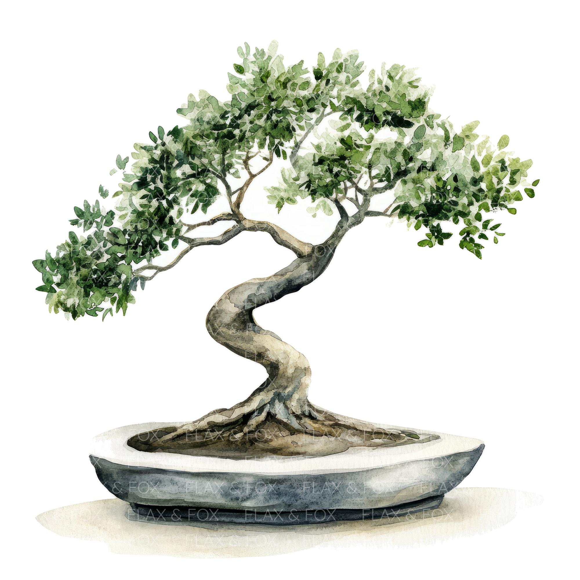 12 Bonsai Tree Clipart L Mini Japan Tree L JPG Digital Download L