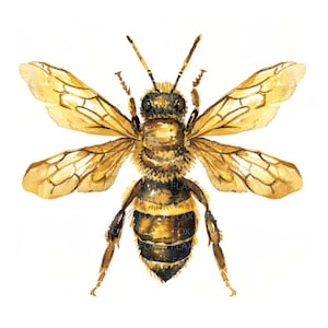 10 Golden Bee Clipart l Aquarela Folha de Ouro Abelha l Download Digital JPG l Clipart de Aquarela para Impressão l Diário de Lixo l Artesanato em Papel