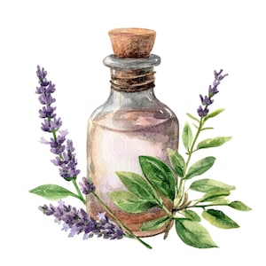 21 Clipart bouteille de Potion l Feuilles botaniques à base de plantes l Téléchargement numérique JPG l Clipart aquarelle imprimable