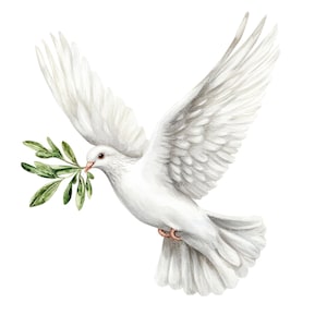 10 Colombe blanche rameau d'olivier Clipart l Colombe de la paix l Téléchargement numérique JPG l Clipart aquarelle imprimable l Journal indésirable l Créations en papier