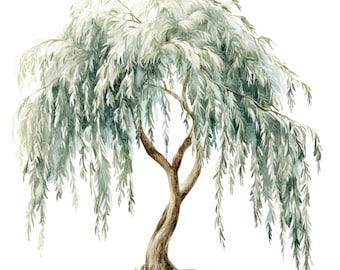 12 Willow Tree Clipart l Spring Summer Decor l JPG Digital Download l Printable Watercolor Clipart l Junk Journal l Paper Craft