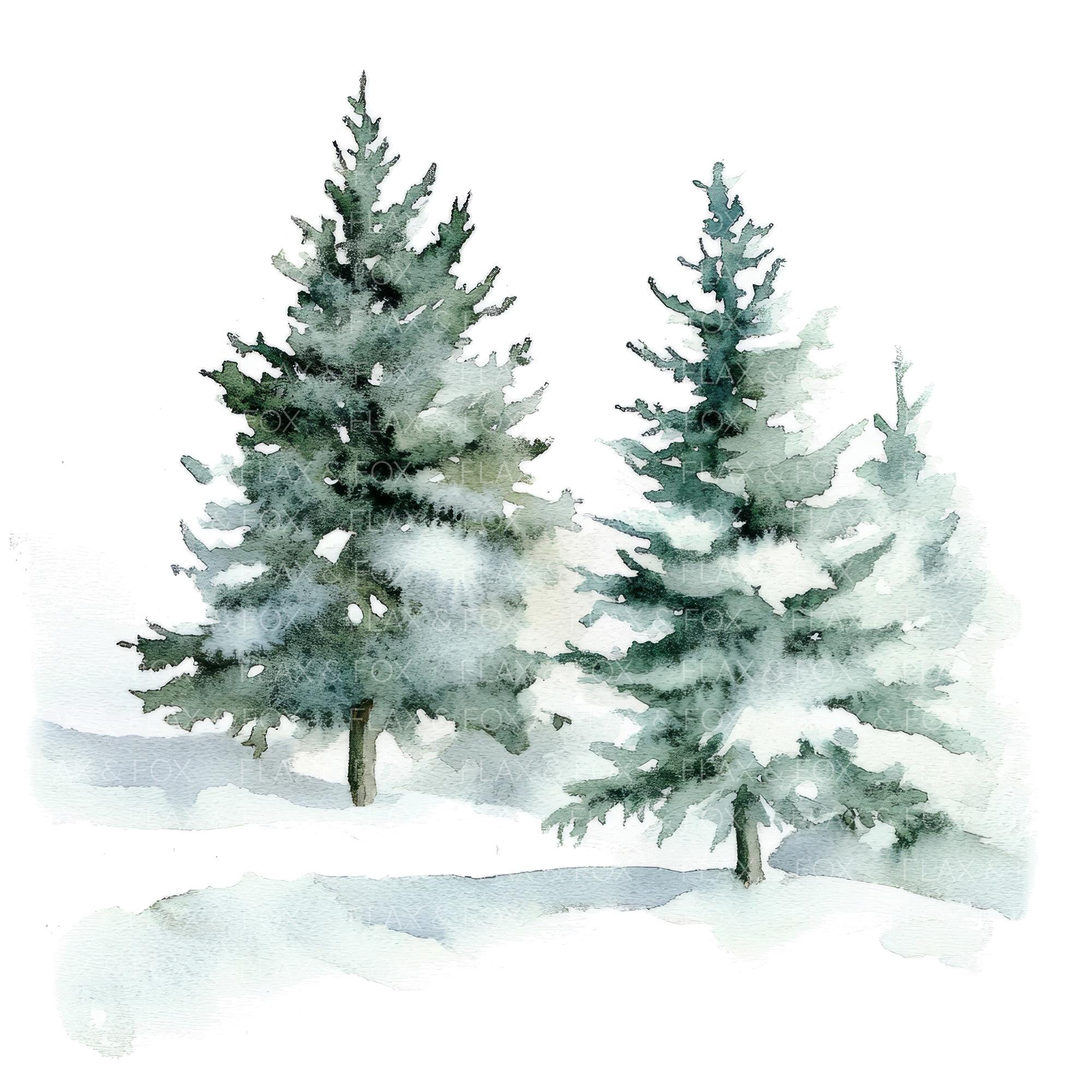12 Winter Pine Forest Clipart L Evergreen Trees Nature Landscape L JPG ...