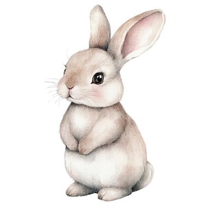 14 Süßer Hase Clipart l Kleiner Hase l JPG Digital Download l Druckbare Aquarell Clipart l Junk Journal l Papiermodell