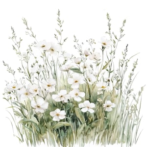 18 witte wilde bloemen clipart l grasbloemen l JPG digitale download l afdrukbare aquarel clipart l junk Journal l papier ambacht