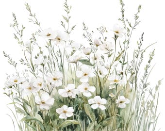 May include: Watercolour painting of a field of white wildflowers with green stems and leaves. The flowers are in various stages of bloom, with some fully open and others still in bud.