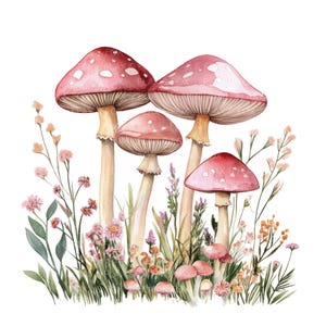 21 Clipart champignon agaric rose l floral forêt l téléchargement numérique JPG l Clipart aquarelle imprimable l journal indésirable l créations artisanales en papier